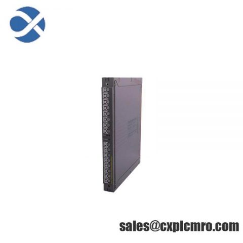 ICS TRIPLEX T8431 INPUT MODULE: High-Power Analog Input Solution for Industrial Control